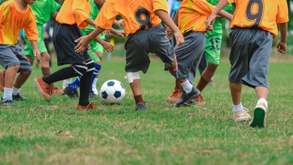 Football soccer children training class. Kindergarten school kids playing football in a field. Group of boys running and kicking soccer on sports grass pitch. Children in sportswear on football match.