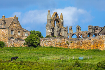 Whitby Abbey in Whitby, North Yorkshire