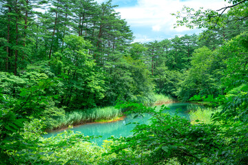 福島県の赤沼(五色沼)