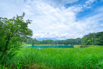 福島県の五色沼湖沼群にある弁天沼