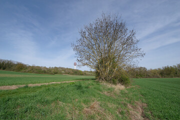 Fototapeta premium A protected natural area in Ile de France, the Essonne cirque near Villabé