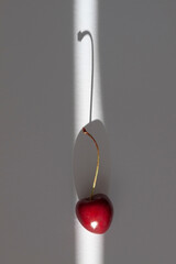 macro photography of cherry on ray of light - 514239536