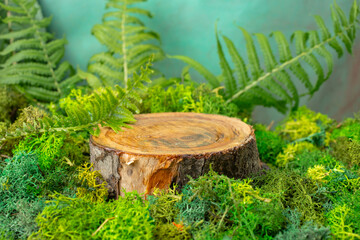 tree stump surrounded by green  moss, composition for product display. Mockup for natural brands. 