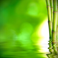 Fototapeta na wymiar Bamboo Background Very Cool