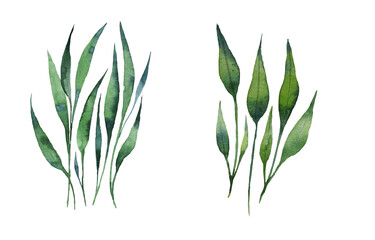 Seamless watercolor illustration of green leaves and branches, circles, on white or black background, suitable for wallpaper, cards, clothing, textiles, fabric, packaging, clothing, dress, invitations