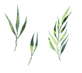 Fototapeta premium Seamless watercolor illustration of green leaves and branches, circles, on white or black background, suitable for wallpaper, cards, clothing, textiles, fabric, packaging, clothing, dress, invitations