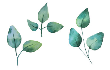 Obraz premium Seamless watercolor illustration of green leaves and branches, circles, on white or black background, suitable for wallpaper, cards, clothing, textiles, fabric, packaging, clothing, dress, invitations