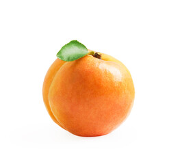 Fresh apricot with leaf on white background.