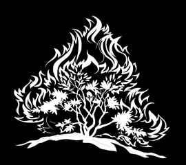 Burning bush. Vector drawing icon