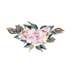 Watercolor bouquet spring pink flower vector