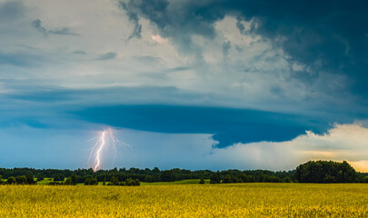 Obraz na płótnie Canvas Thunderstorm with lightning strike, summer storm concept