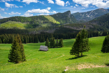 Great spring landscape in the Kalatowki Glade. Western Tatras.