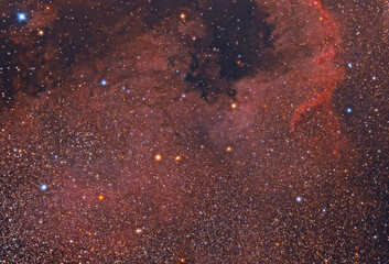 The North America Nebula an emission nebula in the constellation Cygnus, close to Deneb. The shape of the nebula resembles  the continent of North America