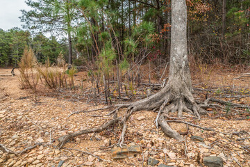 Lake shoreline in drought conditions