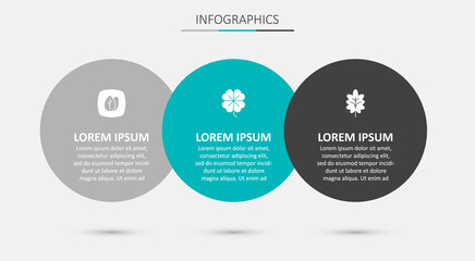 Set Four leaf clover, Leaf and . Business infographic template. Vector
