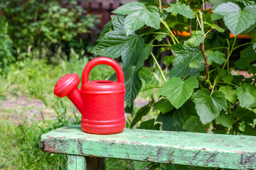 Landscaping at home. Red garden watering can.