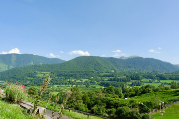 Fototapeta na wymiar Mountain valley in National reserve park of Lescun, France. Vivid greenery at summertime