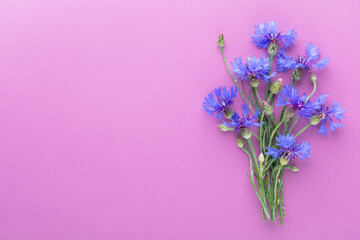 Fototapeta premium Alternative Medicine. Centaurea cyanus, Cornflower Herb capsule, Nutritional Supplement.