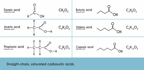 Straight-chain, saturated carboxylic acids (alkanoic acids). Chemical and structural formulas. Formic, acetic, propionic, butyric, valeric , caproic acid. Vector illustration.