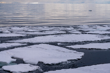 Drift ice on the sea in Svalbard © Mark Hunter