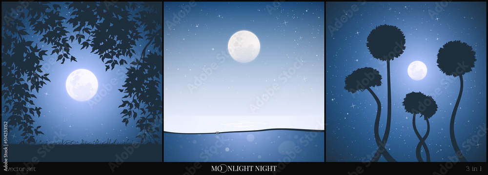 Sticker full moon over sea. starry sky framed by branches. dandelions at night