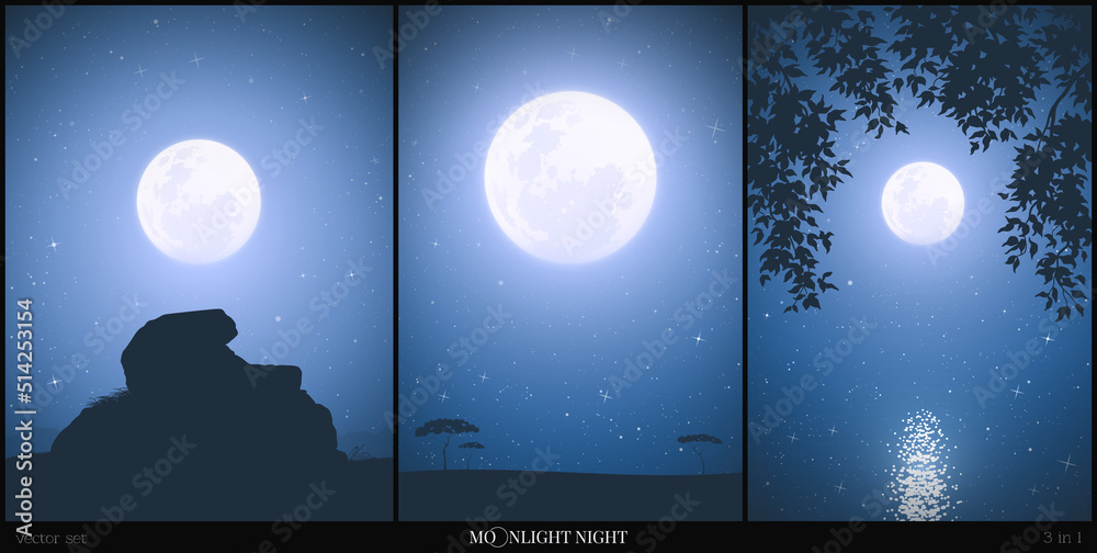 Sticker landscape with large stone. lake framed by branches. savannah on moonlight night