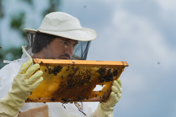 close-up of a beekeeper examining a painting. vertical