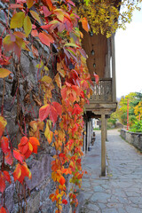 Historical buldings in downtown on Sharambeyan street in Dilijan, Armenia