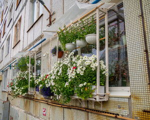 Planters with flowers installed outside the window