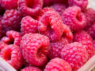 Large selected fresh raspberries for sale