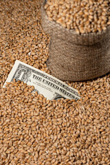 The dollar on the background of Ukrainian wheat. The concept of the global crisis