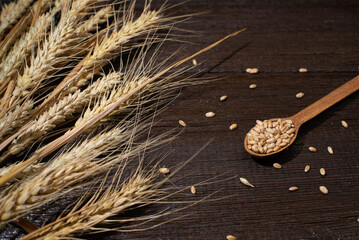 Background ears of wheat lie on golden grains of wheat scattered on a wooden table