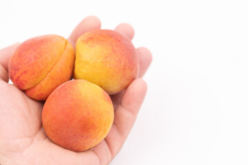 Fresh apricots isolated above white background with copy space