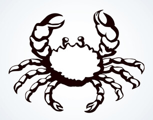 Big sea crab. Vector drawing