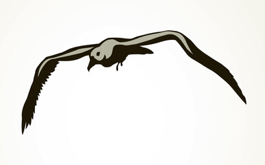 Fototapeta premium Seagull in flight. Vector drawing