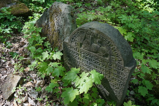 Jewish gravestones on the slope of Castle Hill. Bedzin, Poland.