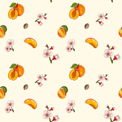 Summer apricots pattern on a white background