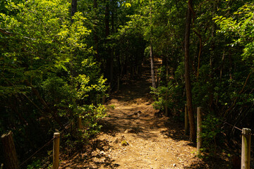 展望台へ通じる散歩道