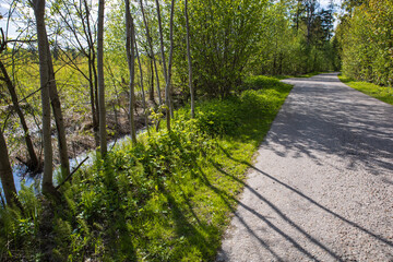 Summer sunny road and tree shadows