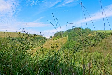 Montaña