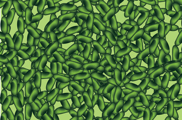 Green bacteria chain in microbiology 