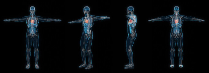 3d rendering set of human male body heart x-ray isolated on black background.