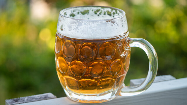 The sun shines on a pint of lager beer, poured into an ovally shaped beer glass with a handle. The gold and amber color of the beer makes a brilliant contrast to the white foam up top.