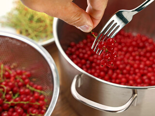 hand removes red ripe currants berries from the stalk with a fork, close up of preperation of home...