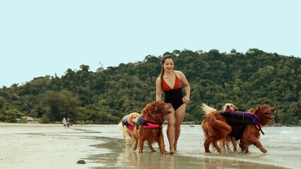 Woman walking with dogs golden on the beach Female relaxation with pet lifestyle on weekend concept, Enjoy life balance and freedom.