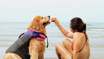 Asian woman take dog leg with ball technique teaching her pet on the beach, sitting relax and...