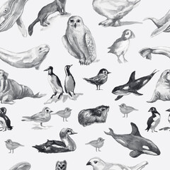 Animals Antarctica birds whales fish watercolor illustration hand drawn big set isolated on background owl seal whale killer whale clipart nature wild