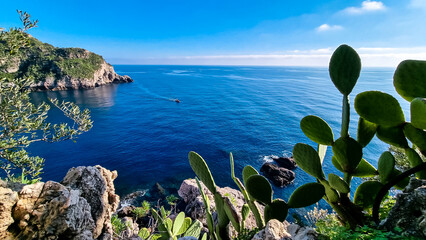 Scenic view on sunny day from touristic paradise island Isola Bella in Taormina, Sicily, Italy, Europe, EU. Tropical exotic cochineal cactus in foreground. Dreamy seascape at Ionian Mediterranean sea - obrazy, fototapety, plakaty