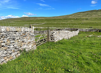 Landscape of Malham Moor, with a dry stone wall enclosure, and distant hills near, Malham, Skipton, UK