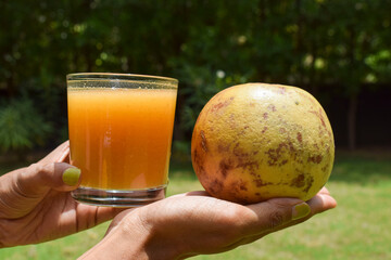 Indian bael or Bel fruit juice. Also known as wooden apple, golden apple from Indian subcontinent,...